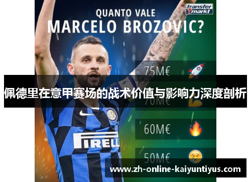 佩德里在意甲赛场的战术价值与影响力深度剖析